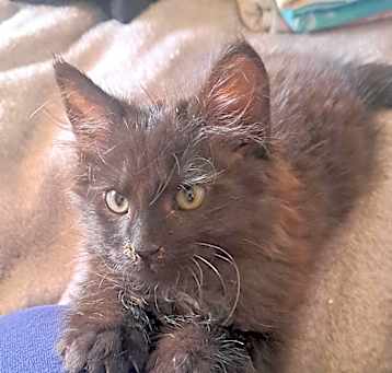 Photo of Wobbles