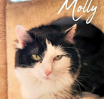 Photo of Molly Purrington