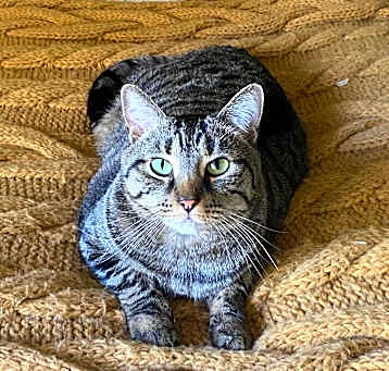 Photo of Finn