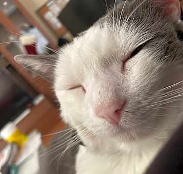 Photo of Jake