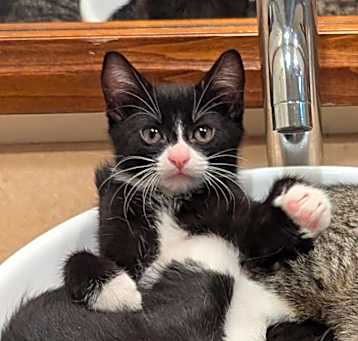 Photo of Jack