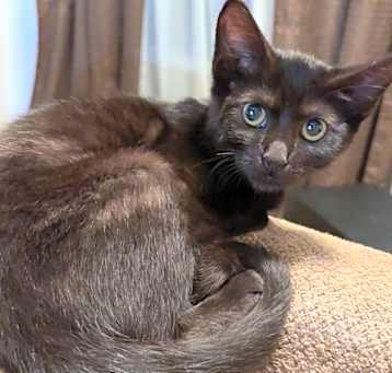 Photo of Missy