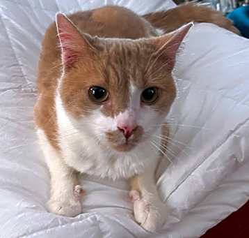 Photo of Charlie
