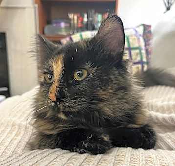 Photo of Lillian
