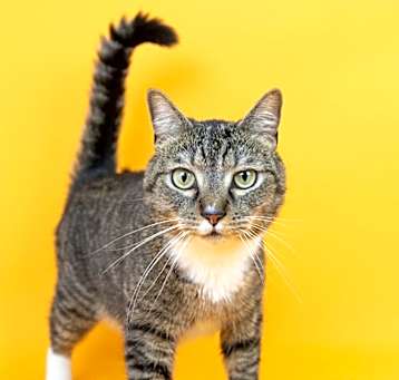 Photo of Shaun Paw