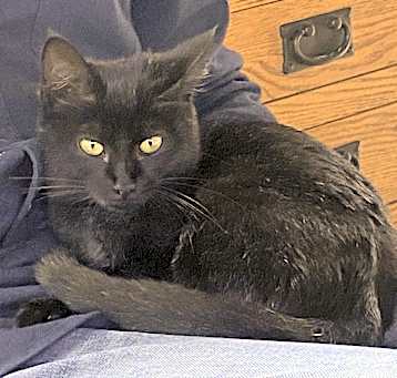 Photo of Lilli