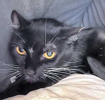 Photo of Loachy