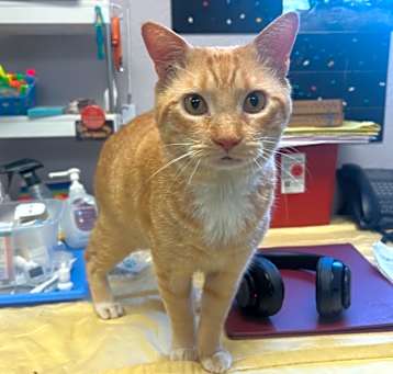 Photo of Wilfred