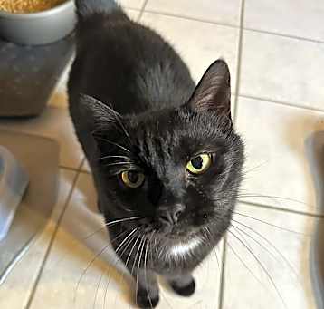 Photo of Tasha