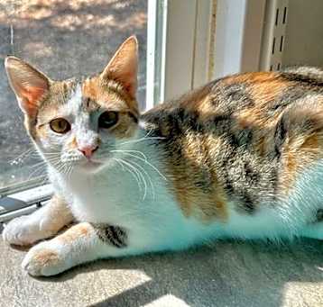 Photo of Jasmine