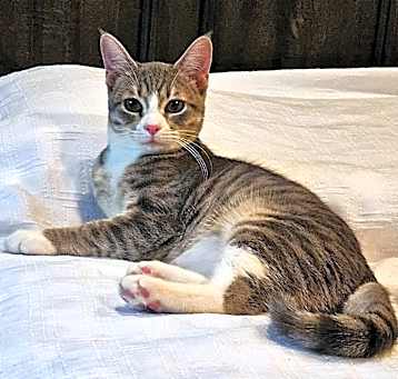Photo of Macey