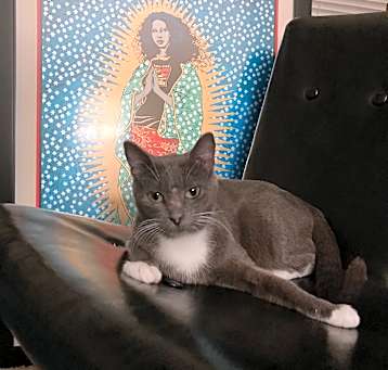 Photo of Agatha