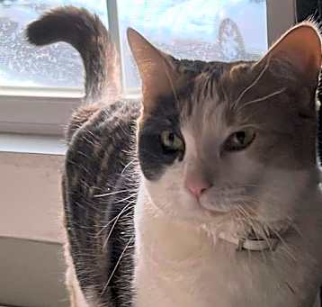 Photo of Delilah