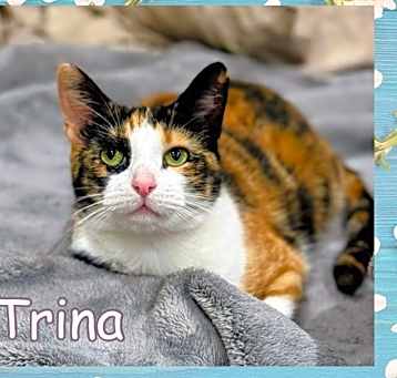 Photo of Trina
