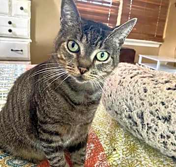Photo of Ranger
