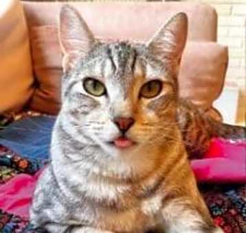 Photo of Jolene