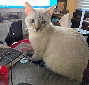 Photo of Monica