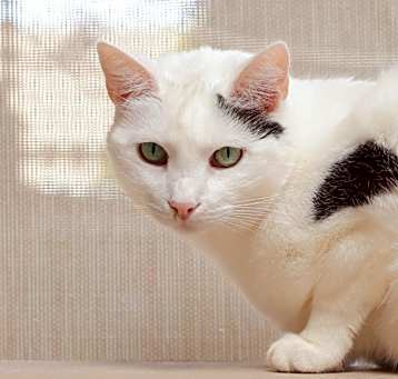 Photo of Sally Mae