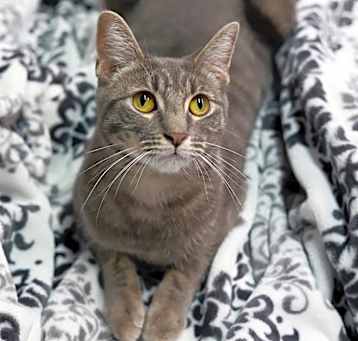 Photo of Magik
