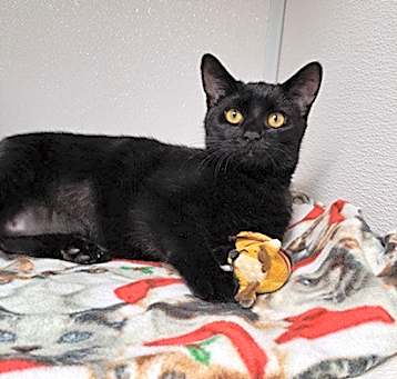 Photo of Luna
