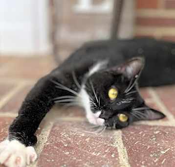 Photo of Minnie th