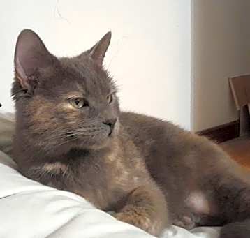 Photo of Jaz
