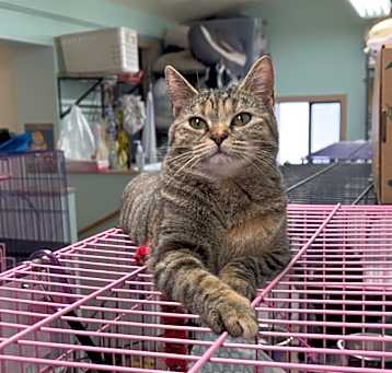 Photo of Larue