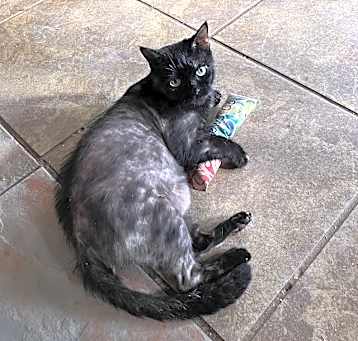 Photo of Connie