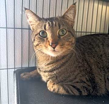Photo of Coco