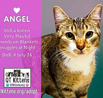 Photo of Angel