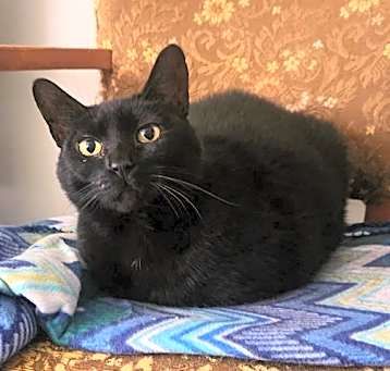 Photo of Missie