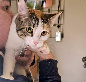Photo of Marzipan