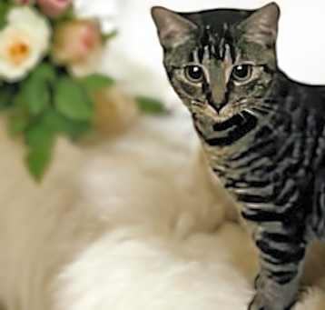 Photo of Precious.
