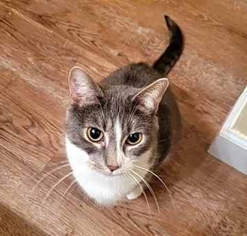 Photo of Abby