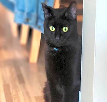 Photo of Shiloh