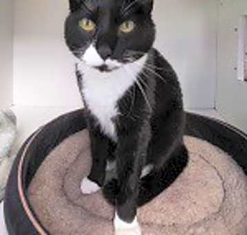 Photo of Lilli