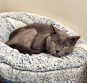 Photo of Theodore