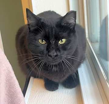 Photo of Sugar