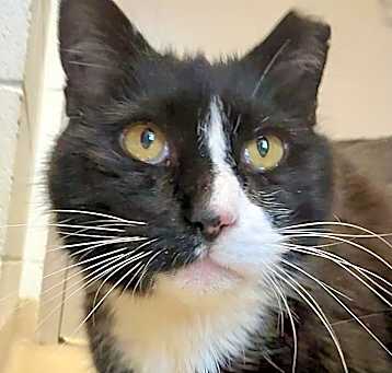 Photo of Socks