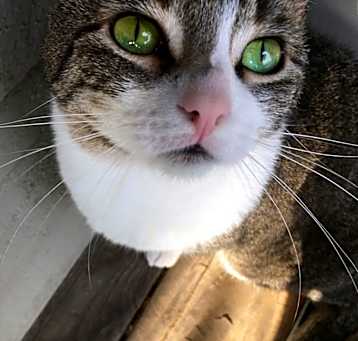 Photo of Tony