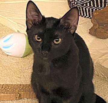 Photo of Jet