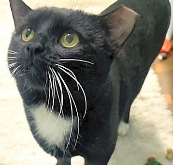 Photo of Skittles