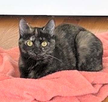 Photo of Suzi