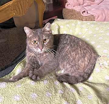 Photo of Zoyia