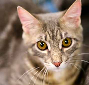 Photo of Mattie