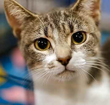 Photo of Darlene