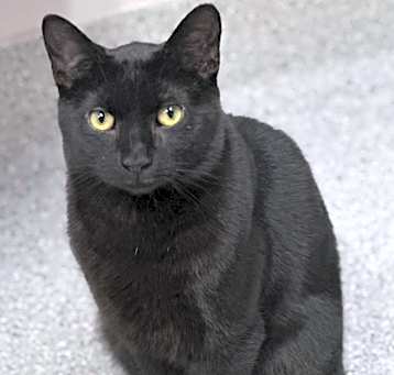Photo of Prescott
