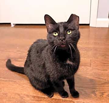 Photo of Artemis