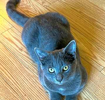 Photo of Sterling