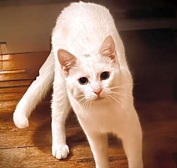 Photo of Bug
